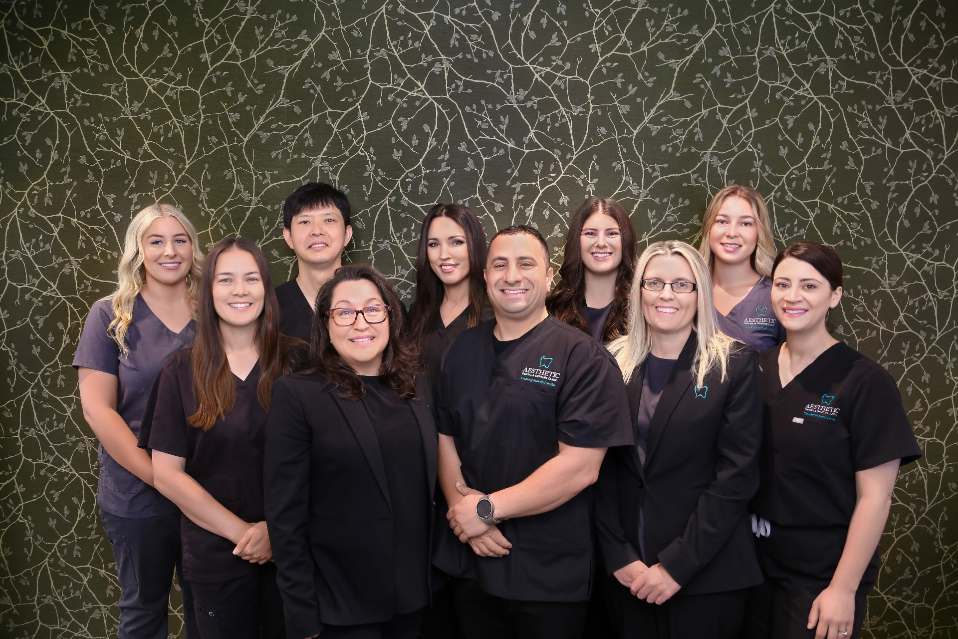 The full Aesthetic Dental team